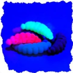 Zite Fishing Mighty Mag Schock Mix Floating Edition Käse 2,8 cm 12 Stück - Teilweise UV-Aktive Farben