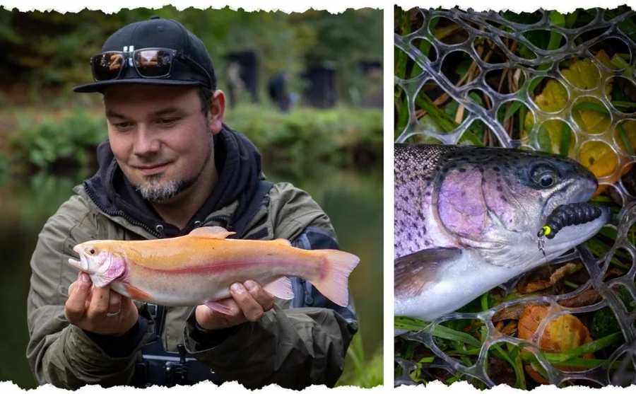 Zite Fishing Premium Tungsten Pro Sharp Jighaken Neon #8 - Teflonbeschichtete Forellen-Haken mit Tungstenperle - Unsere Tungsten ProSharp Jighaken im Outdoor-Einsatz