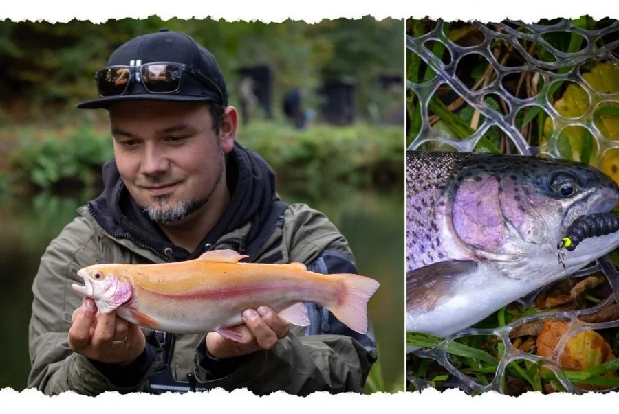 Zite Fishing ProSharp Chebu Haken #6 Teflon-Haken mit Baitholder für Cheburashka-Rig Forelle & Barsch - Unsere Pro Sharp Chebu Haken im Outdoor-Einsatz