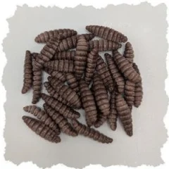 Attracta Larv Gummiköder Forelle Natur Mix Käse Aroma Floating Edition 3,5 cm 8 St. - Sanfte Reize im Wasser