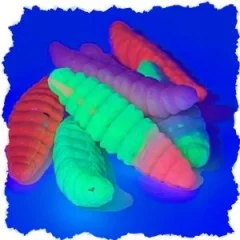 Attracta Larv Schock Mix Knoblauch Aroma Floating 3,5 cm 8 St. Larven Imitat Gummi - Leuchtende Neonfarben