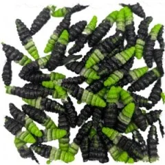 Attracta Larv Allround Mix Käse Aroma Floating 3,5cm 8STK Forellen Gummiköder Larve - Harmonie zwischen Natürlichkeit und Auffälligkeit
