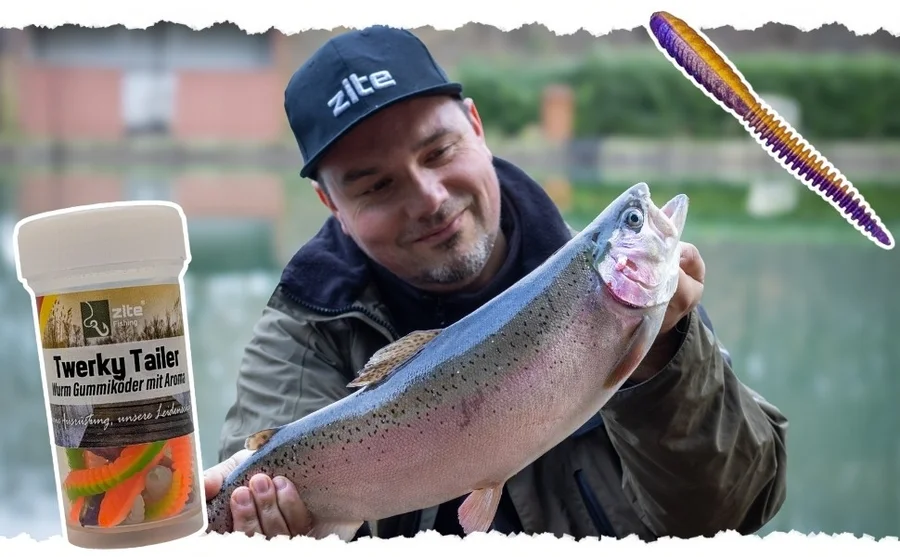 Zite Fishing Twerky Tailer Shiny Mix Käse 7 cm 8 STK 3in1 Gummiköder Forelle - Unsere Twerky Tailer im Outdoor-Einsatz