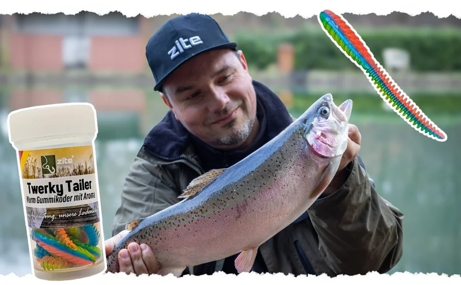 Zite Fishing Twerky Tailer Nature Mix Käse 7 cm 8 STK 3in1 Gummiköder Forelle - Unsere Twerky Tailer im Outdoor-Einsatz