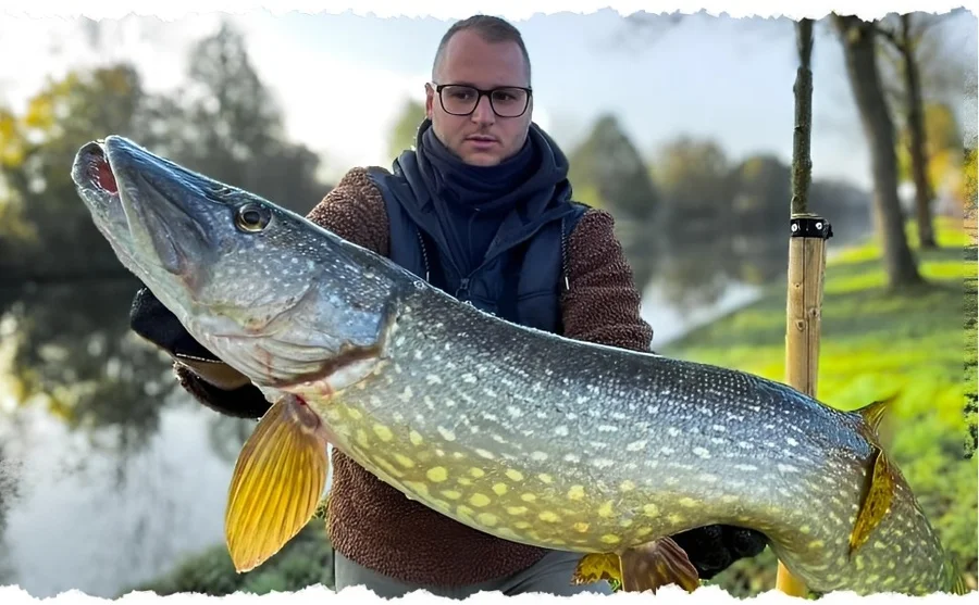 Zite Fishing Köderfisch System S, M & L - Stinger Raubfisch Hechtmontage - 7x7 Stahlvorfach - Fertigsystem - Unsere Köderfisch-Systeme im Outdoor-Einsatz