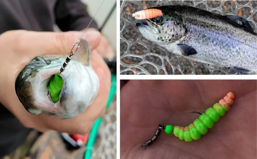 Forellen Gummiköder Überraschungspaket - 7 Dosen Premiumköder - Ideale Geschenkidee - Unsere Gummiköder im Outdoor-Einsatz