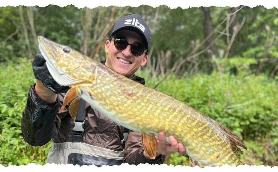 Zite Fishing Inzite Pro Stick Pike 255cm 30-85g Hechtrute mit Spinning Reel Pro 4000 bespult Angelrolle 8+1 - Unser Inzite Pro Stick Hecht Set im Einsatz