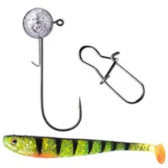 Inzite Pro Stick Zander-Set - 255 cm Angelrute + Spinning Reel Pro 3000 bespult & Zubehör wie Snaps, Gummifische, Jighak - Perfekt geeignet für Zander