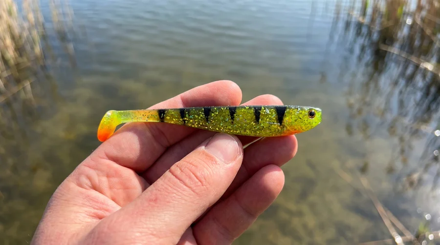 Inzite Shad Lightning Perch 15,5 cm Gummifisch 4 Stück – UV-aktiv für Zander & Hecht - Hecht- und Zander-Profi