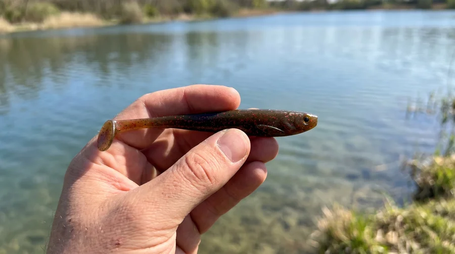 Zite Fishing Inzite Shad Liquid Oil 15,5 cm – Gummifisch für Zander & Hecht 4 Stück - Hecht- und Zander-Profi