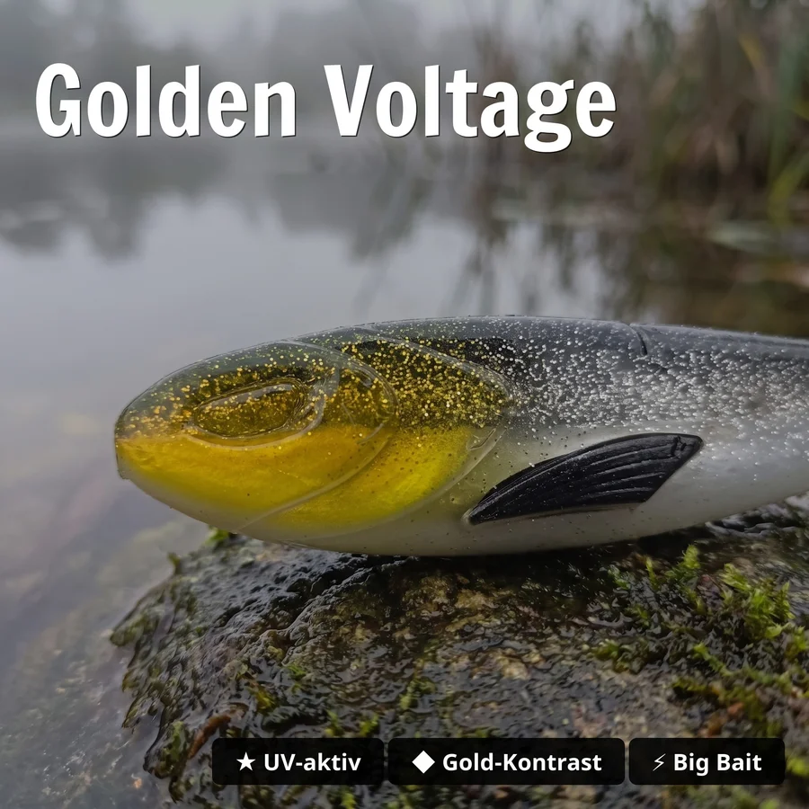 Zite Fishing Gummifisch Inzite Flanker Golden Voltage 23,5 cm - Großhecht Köder im 2er Pack - Golden Voltage