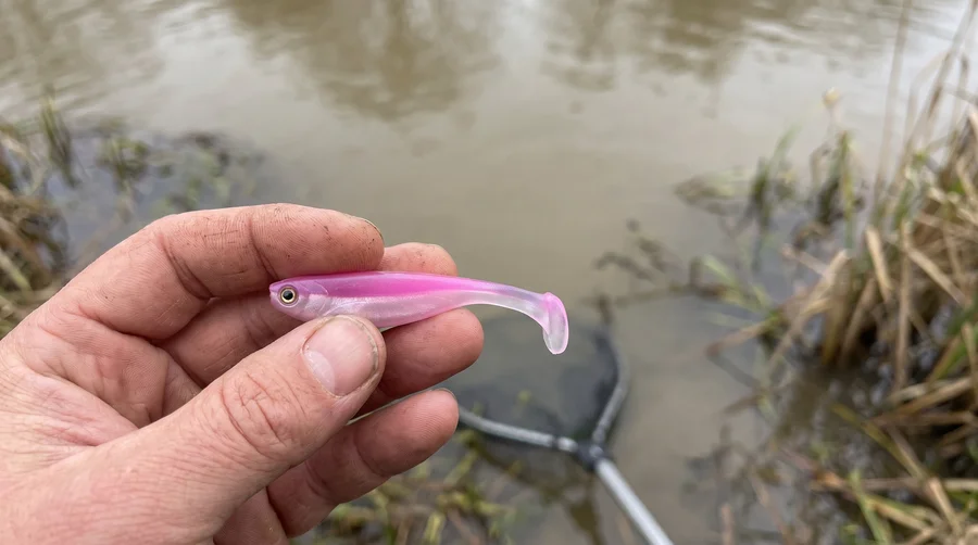 Zite Fishing Inzite Pershad Pink Blush Gummiköder 8 cm – 7 Stück Softbait für Barsch, Zander & Hecht - Barsch, Zander, Hecht