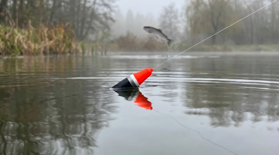 Zite Fishing Schlepp-Posen 2er Set – Rund 3g & Slim 4g Laufpose Forelle Hecht - Forelle & Hecht am See