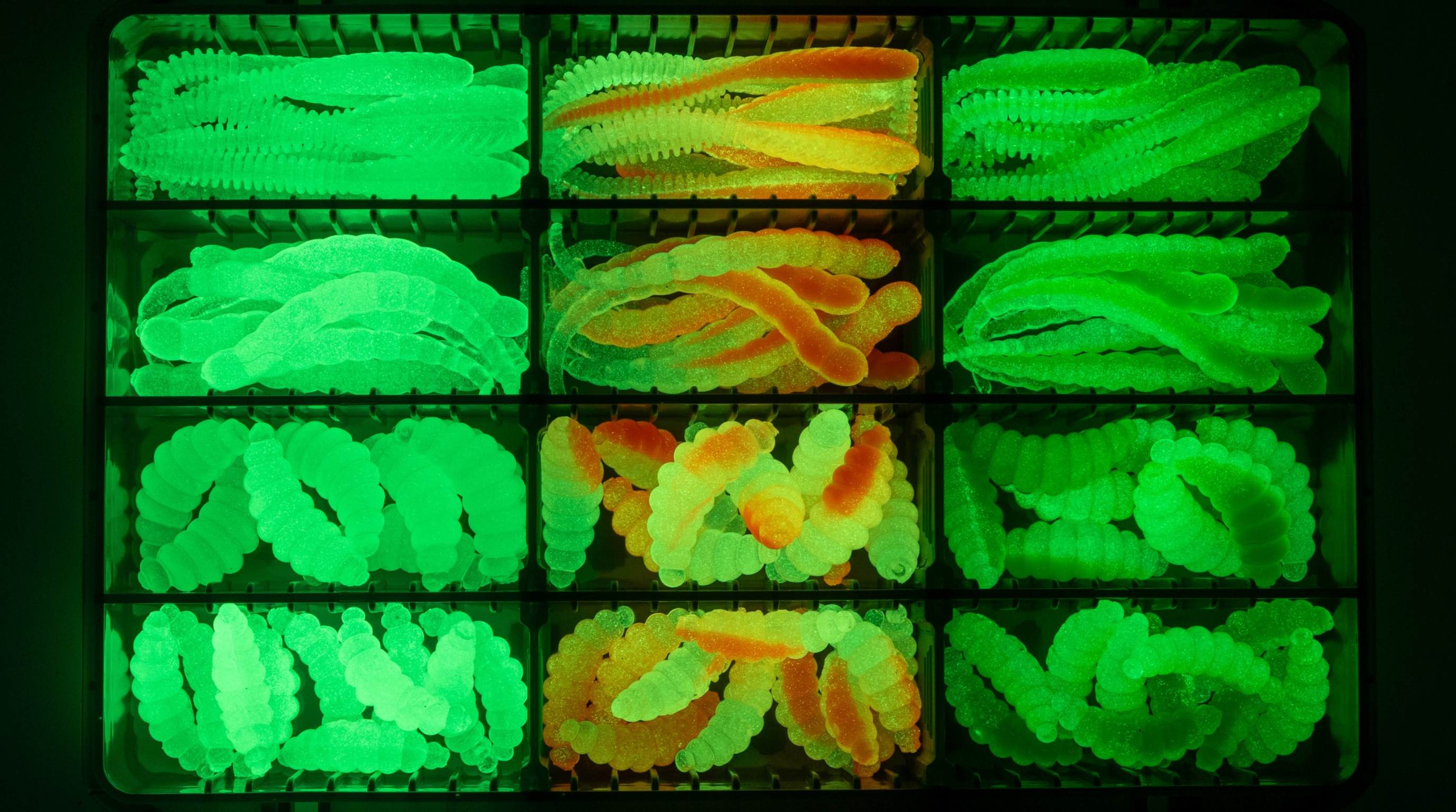 UL Gummiköder Set Glow Edition Box – Forelle Big Mag Curly Viper Mighty Mag Twerky Tailer - Forellen an Ufern, Kanten, Vertiefungen und Einläufen