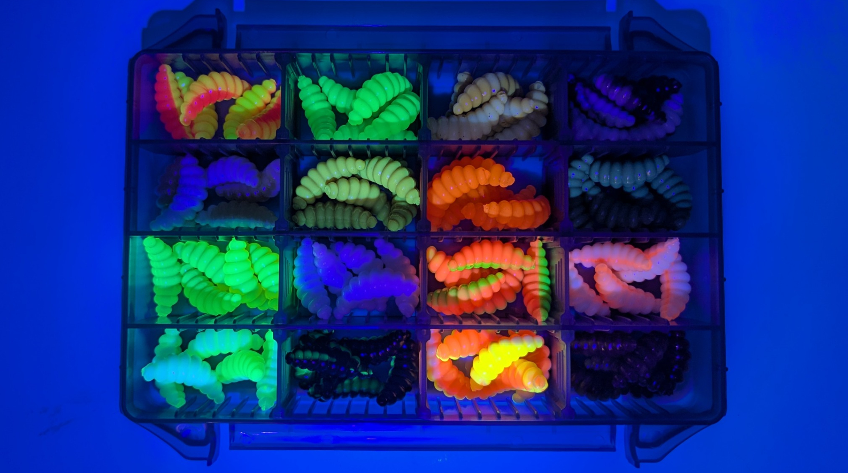 Big Mag Starterbox – 80 Forellen Gummiköder 3 cm, 16 Farben, UV-aktiv, Made in Germany - Gezielt twitchen und einkurbeln