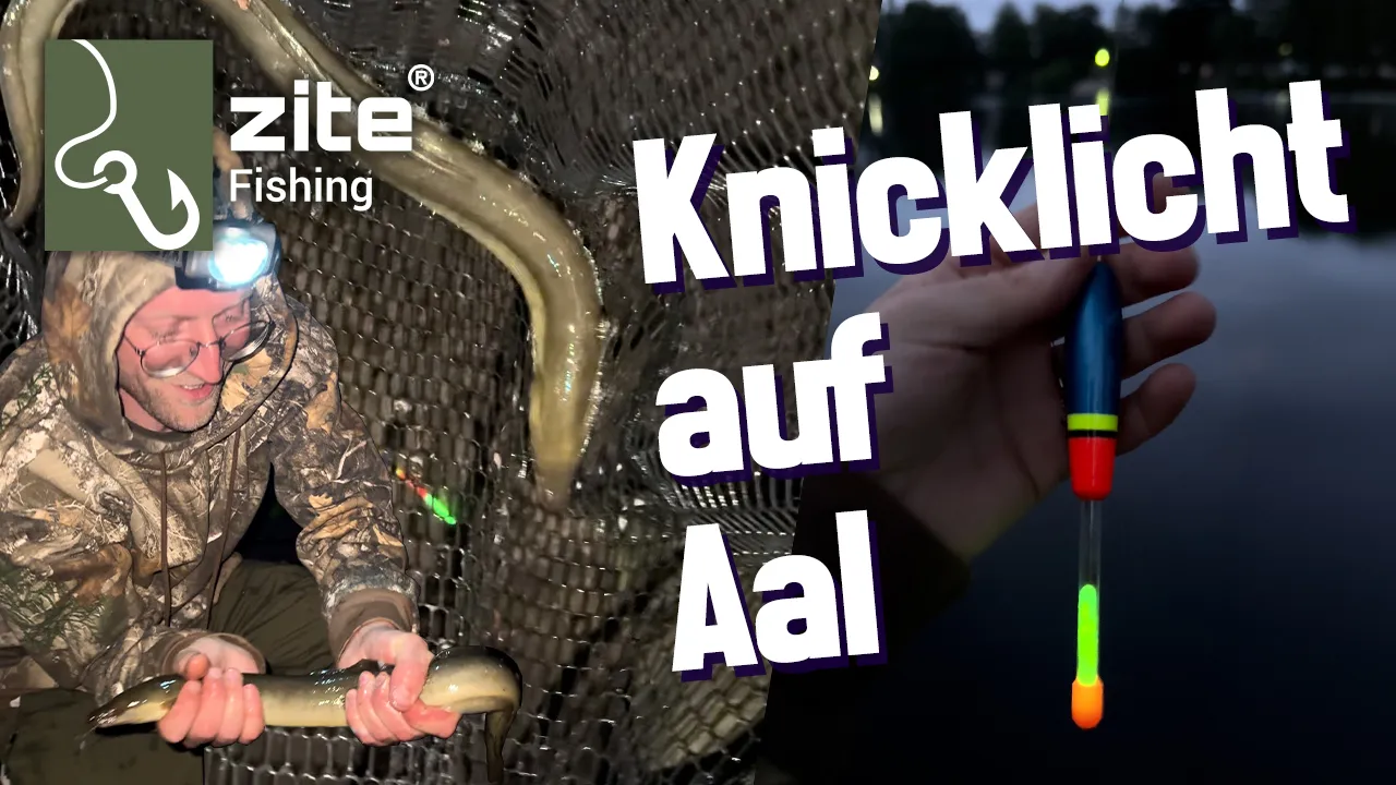 Mit Knicklichtpose auf Aale angeln - Erfolgreicher Abend mit Zite Fishing
