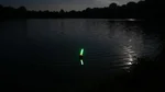 7781_auswahl9