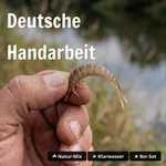 8105_auswahl4