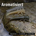 8106_auswahl2