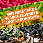 8219_auswahl5