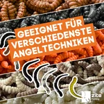 8222_auswahl4