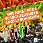 8229_auswahl5