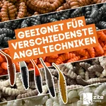 8233_auswahl6
