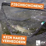 83070746_auswahl4