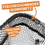 83074652_auswahl4