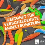8572_auswahl6