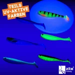 8718_auswahl7