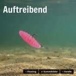 8746_auswahl2