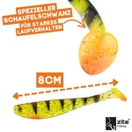 8780_auswahl5