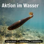 8917_auswahl3