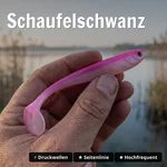 8953_auswahl3