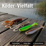 8956_auswahl4