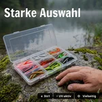 8968_auswahl6