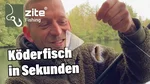 Zite Fishing Fertigangel 0,5-2 g 5er Set Friedfisch-Posen Video