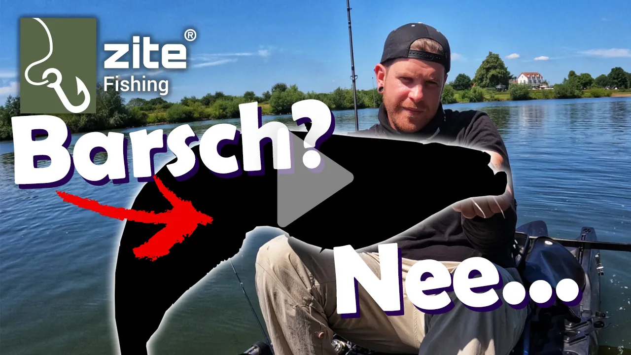 Inzite Blader Set 10-21g 5 STK Bladed Jig Raubfischköder Starke Vibration & Trailerfähig Video