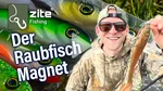 Inzite Flanker Hecht Gummifisch Green Shiner 18,5 cm  Video