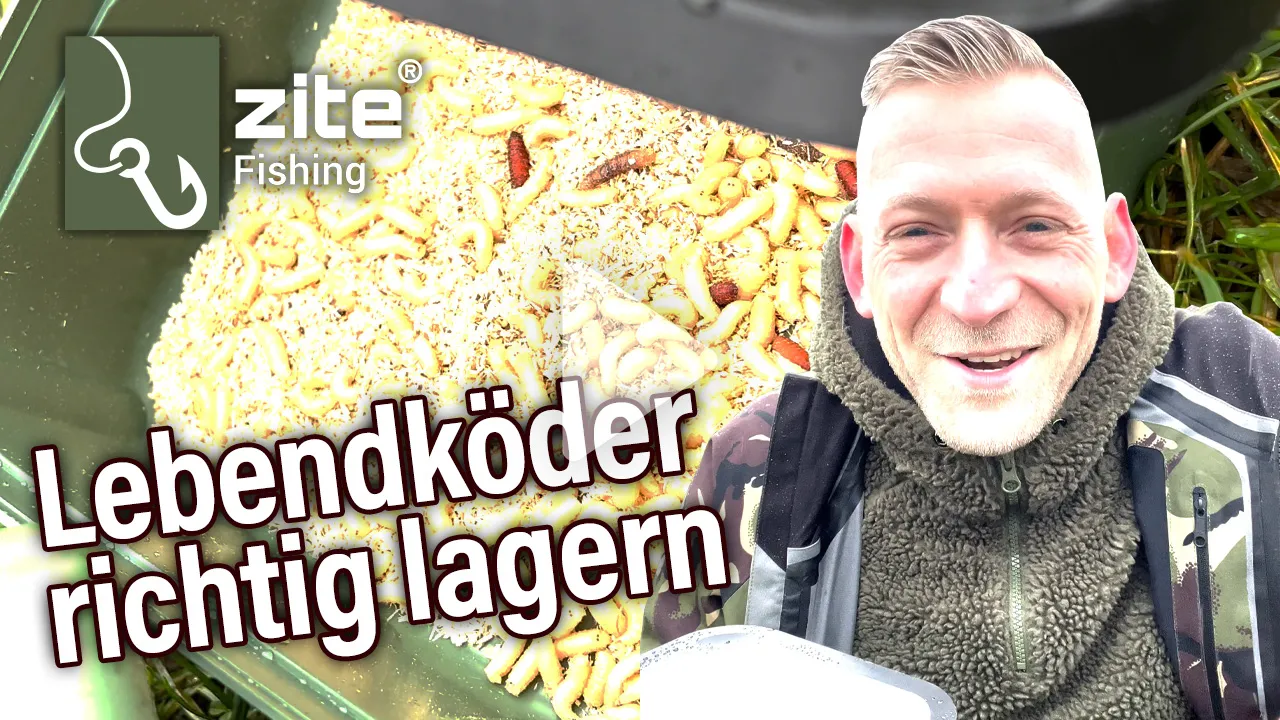 Lebendköderbox Maden- & Wurmdose 2 Stück Zite Fishing  Video