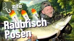 Raubfischposen Set 3 Stück Deadbait Schwimmer Zite Fishing Video