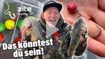 Creature Bait Barsch Angelköder Dark Mud 12 Stück Zite Fishing Video