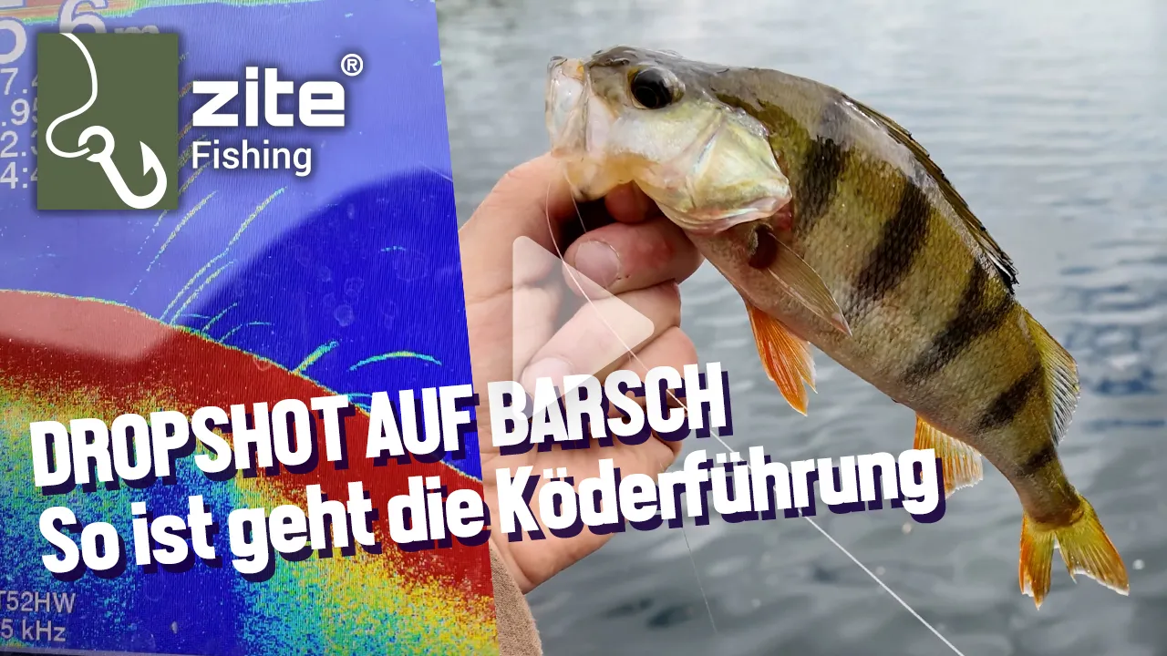 Drop Shot Starterbox 73 Teile mit Vorfachschnur Wirbel Haken Zite Fishing Video