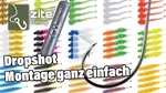 Dropshot Haken Set Größe L Vorfachhaken 10 Stück Zite Fishing Video