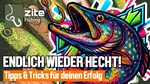 Zite Fishing Hecht Gummifisch-System S 9cm Blei 15g - ideal für Hechtköder 15-20 cm Video